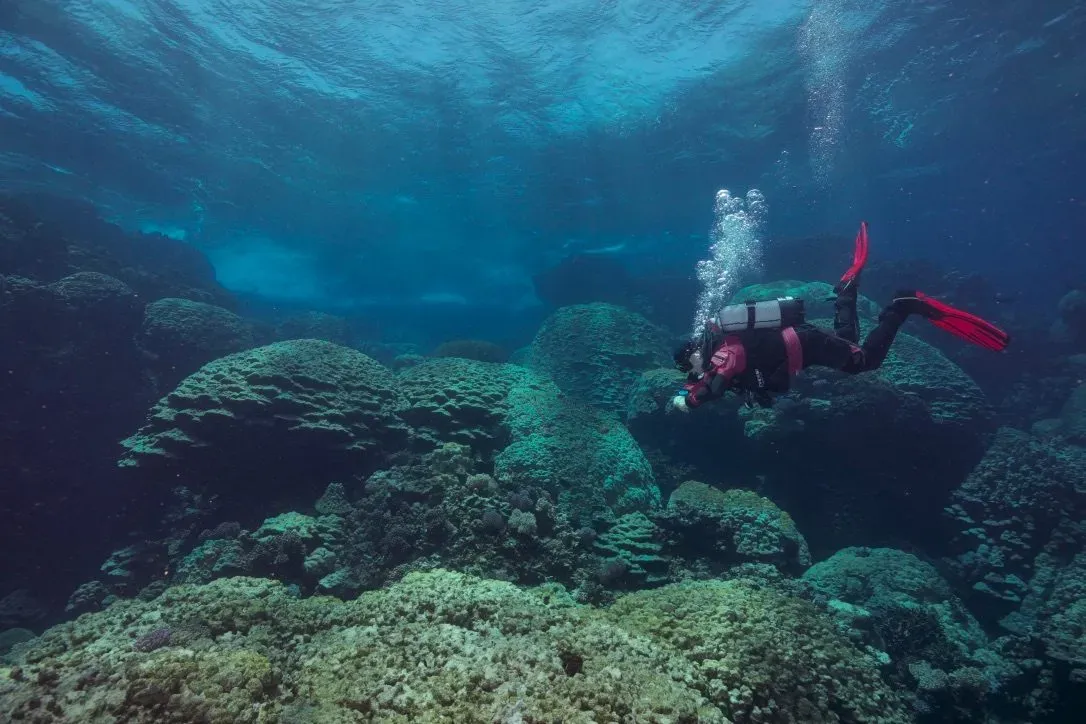 Египет, июль 2025