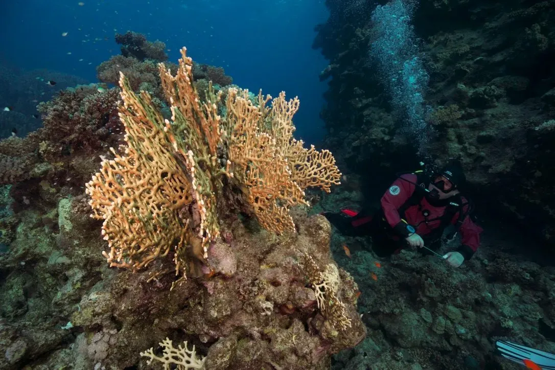 Египет, июль 2025