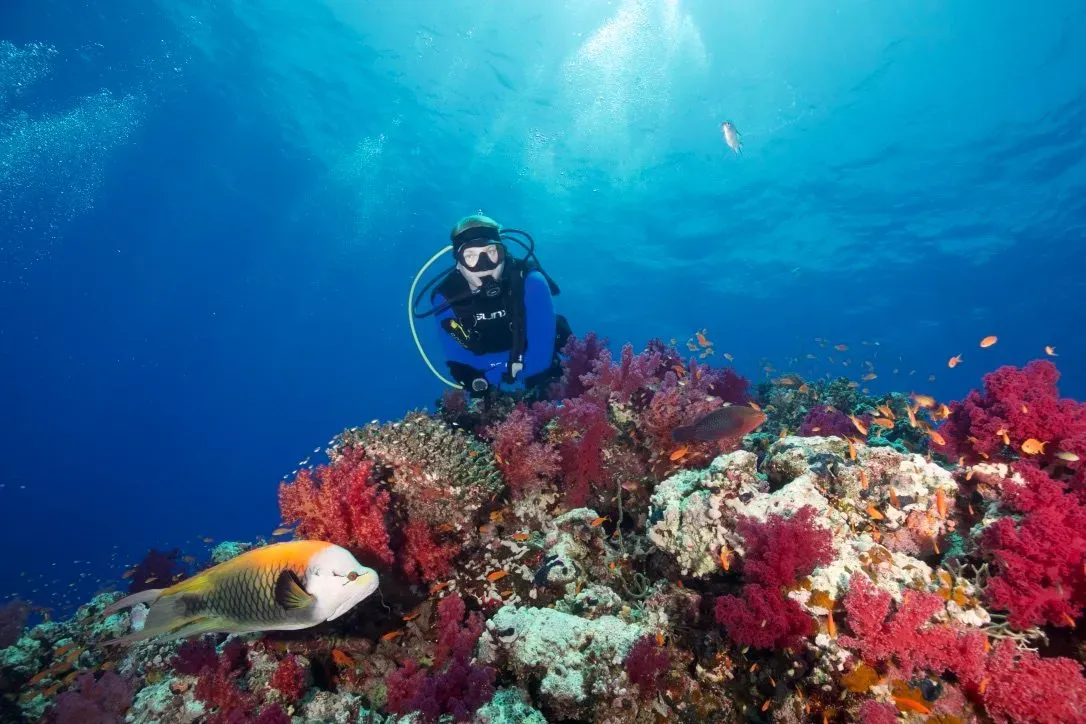 Египет, июль 2025