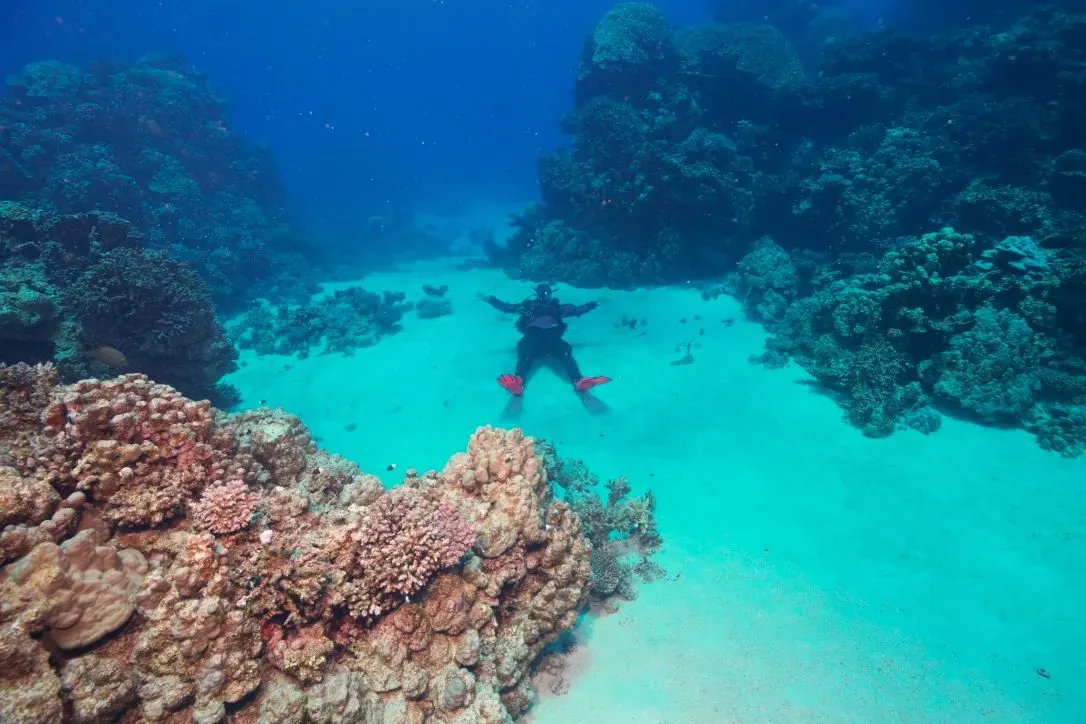 Египет, июль 2025