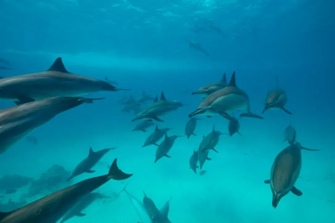 Египет, июль 2025