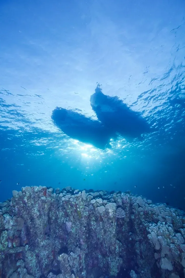 Египет, июль 2025