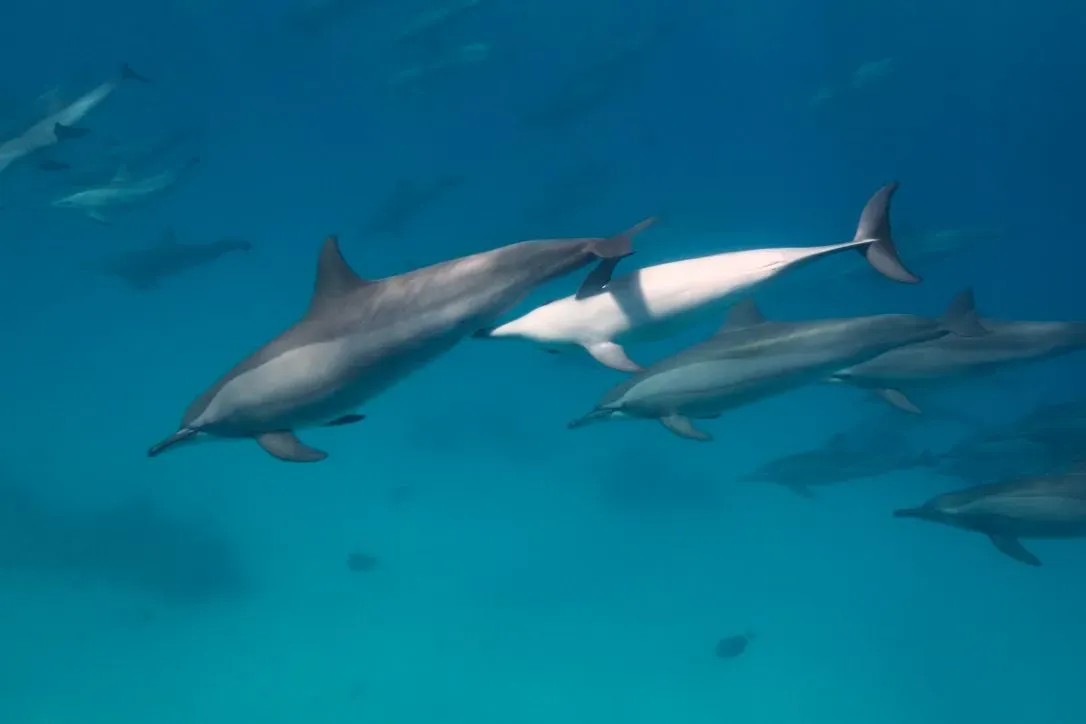 Египет, июль 2025