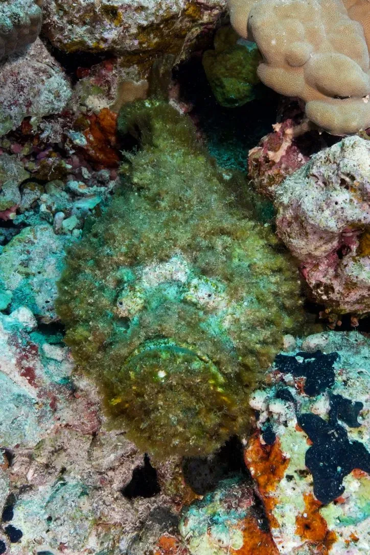 Египет, июль 2025