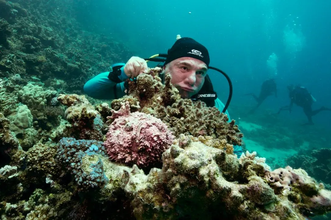 Египет, июль 2025