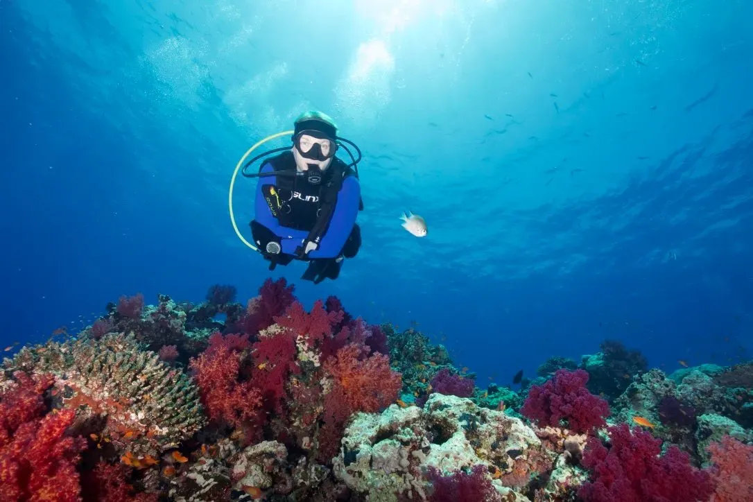 Египет, июль 2025