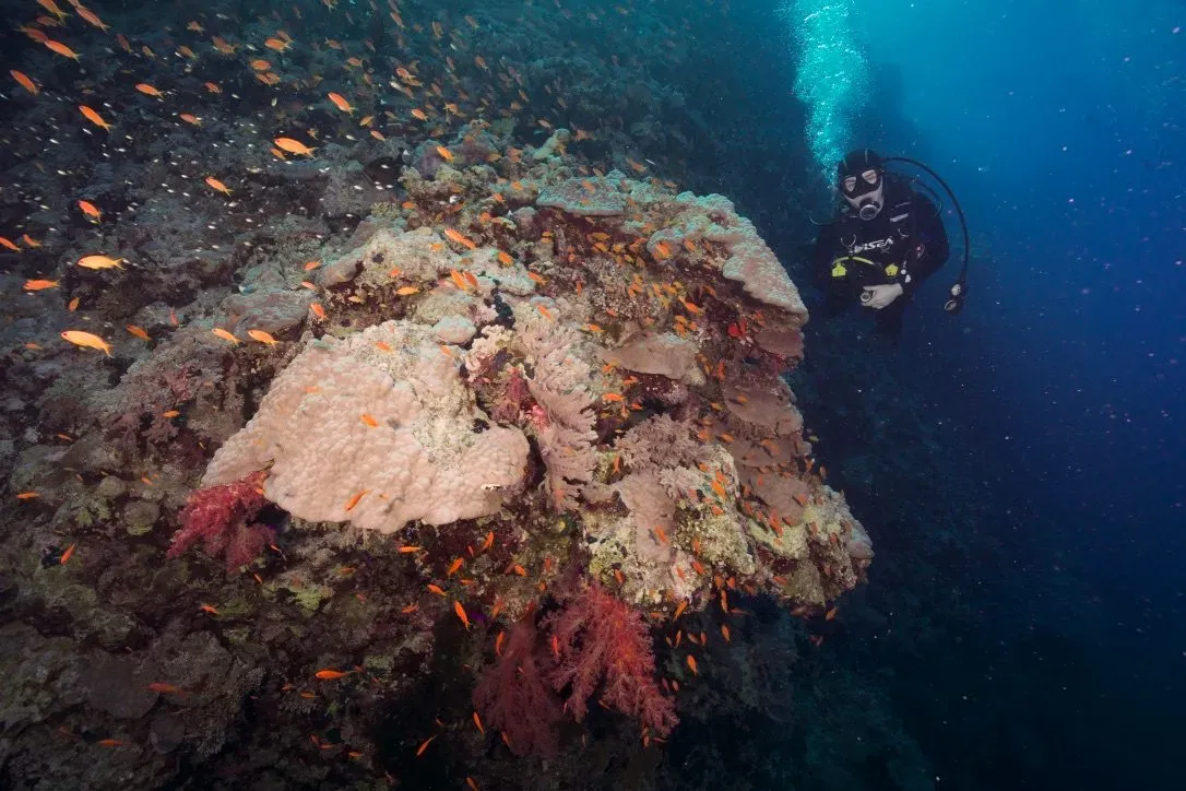 Египет, июль 2025