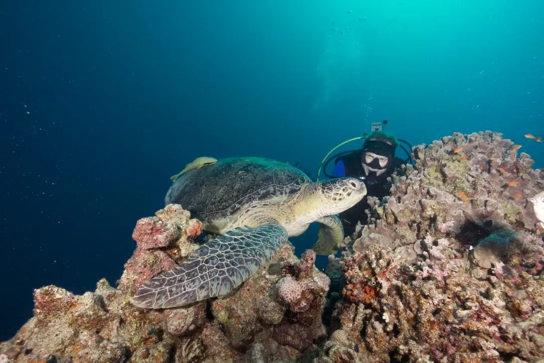 Египет, июль 2025