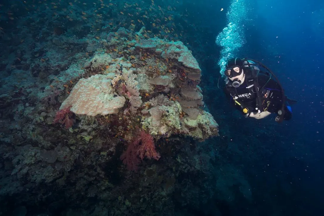 Египет, июль 2025