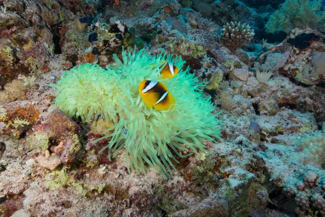 Египет, июль 2025