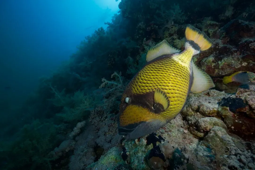 Египет, июль 2025