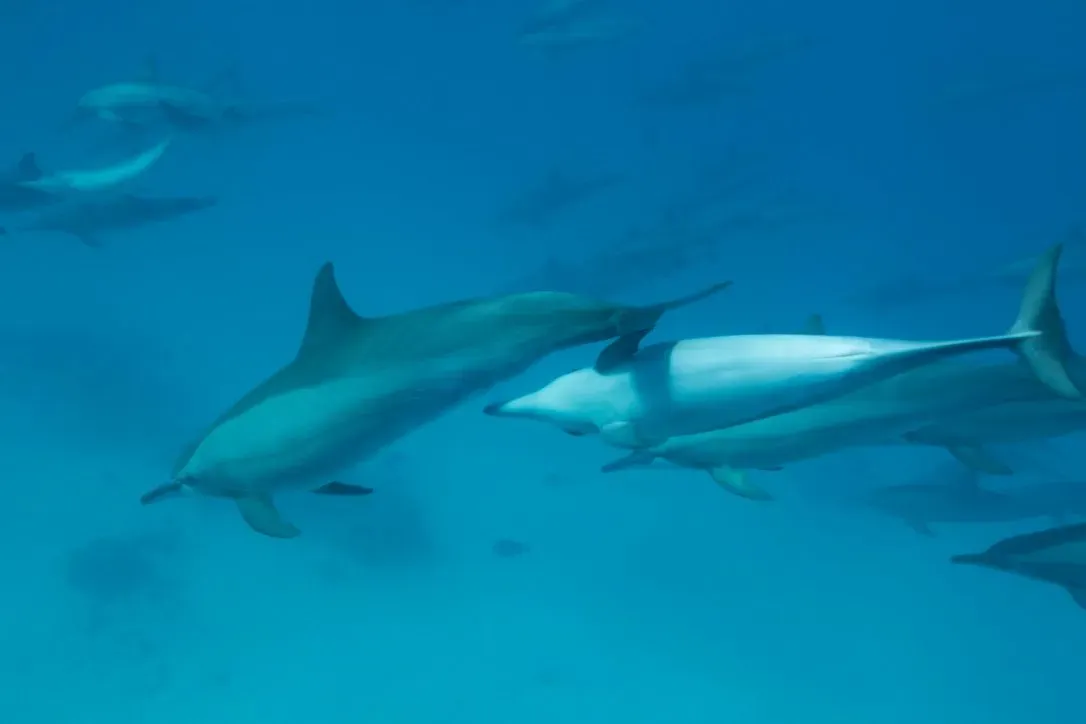 Египет, июль 2025