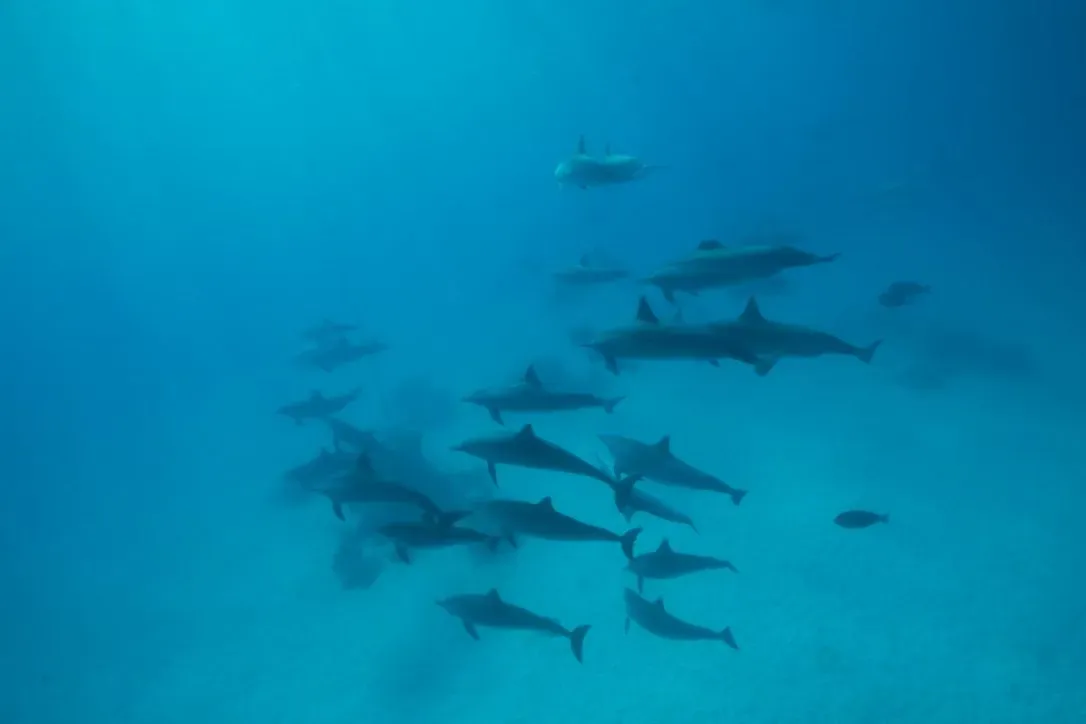 Египет, июль 2025