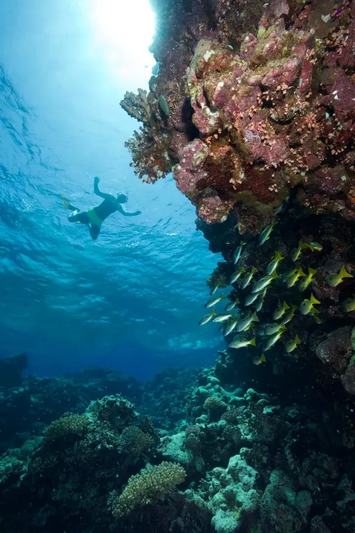 Египет, июль 2025