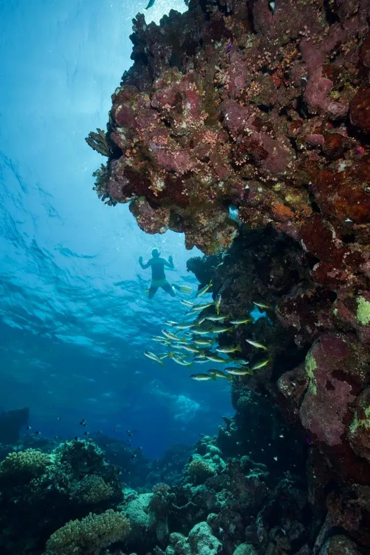 Египет, июль 2025