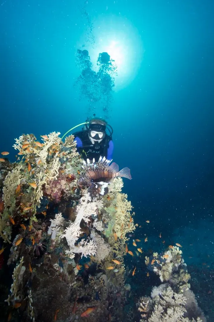 Египет, июль 2025