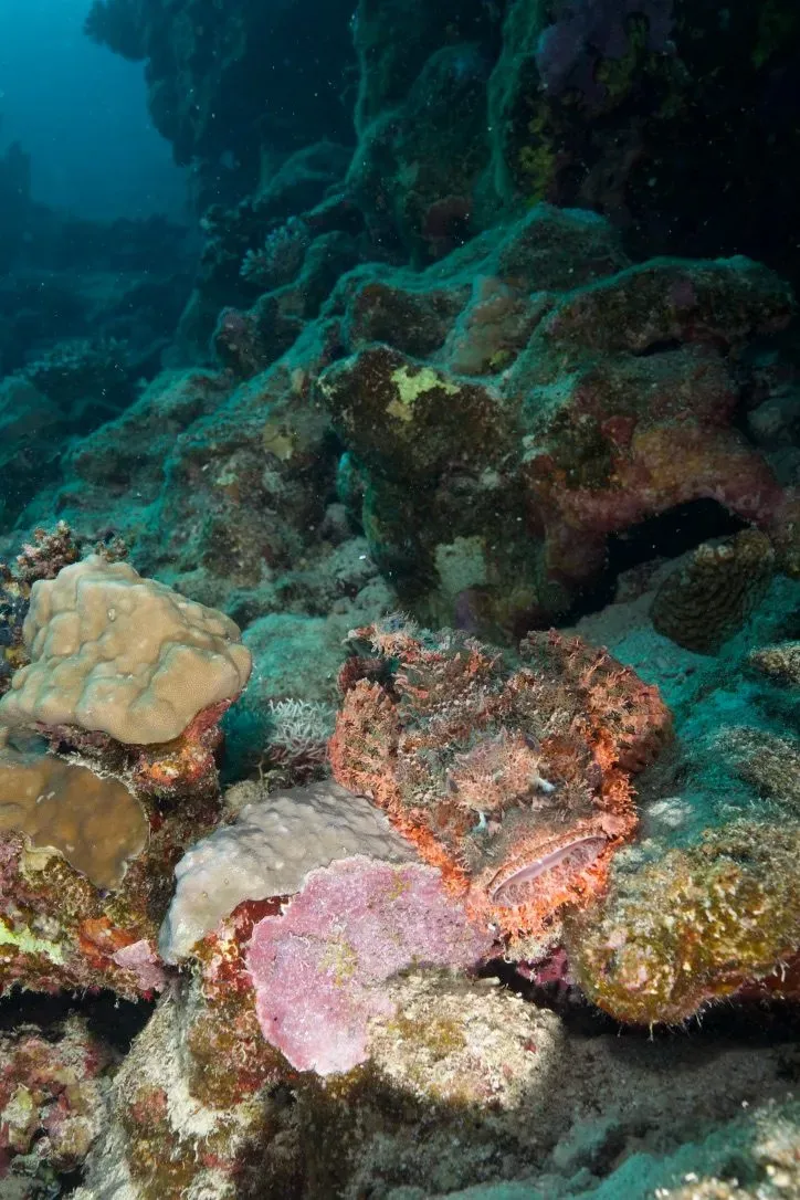 Египет, июль 2025