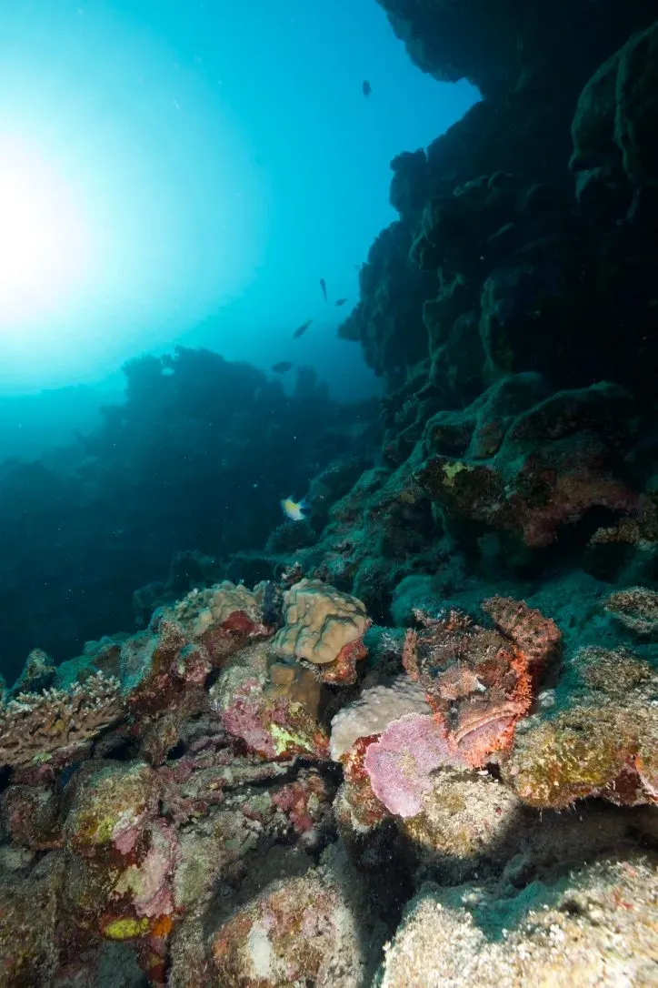 Египет, июль 2025