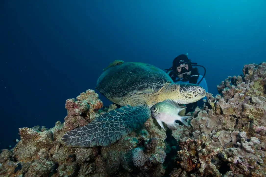 Египет, июль 2025