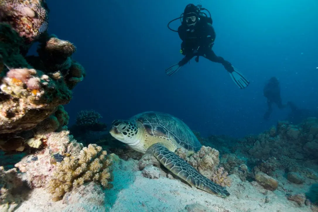 Египет, июль 2025