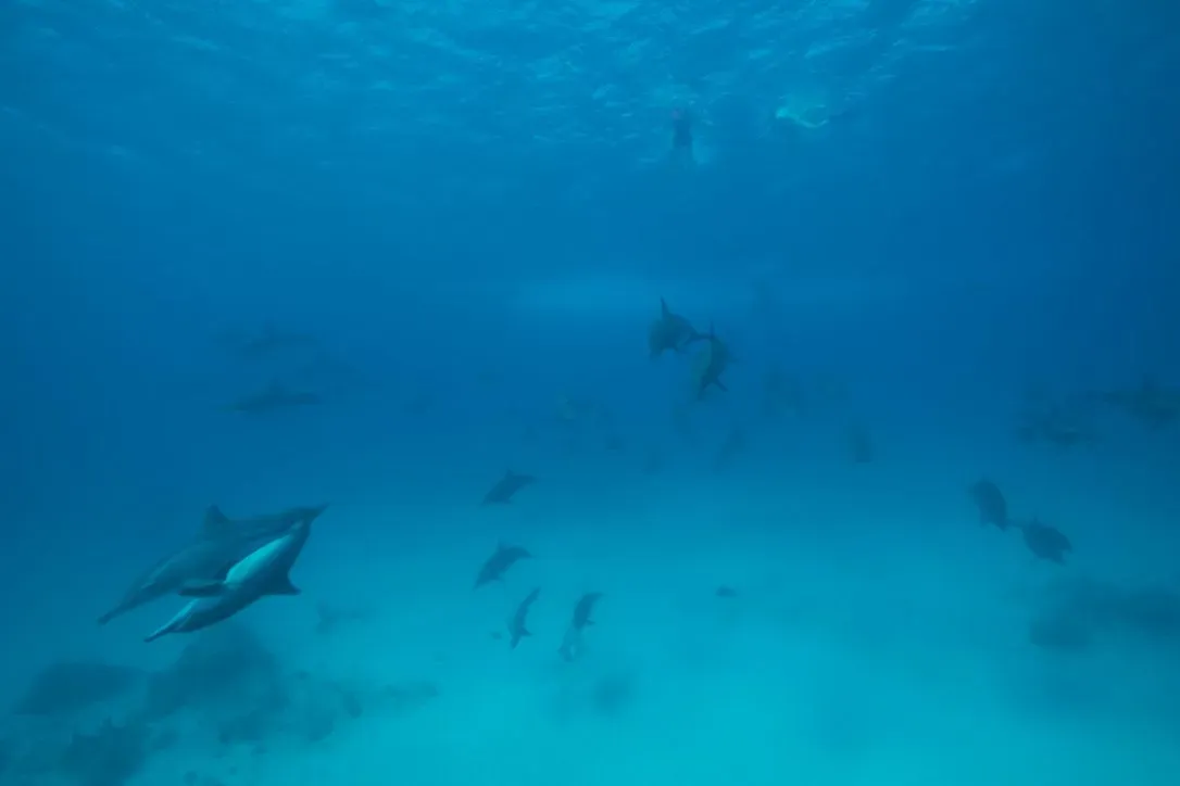 Египет, июль 2025