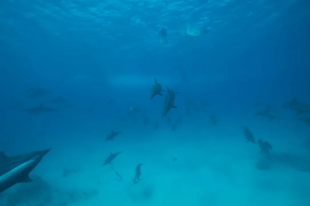 Египет, июль 2025