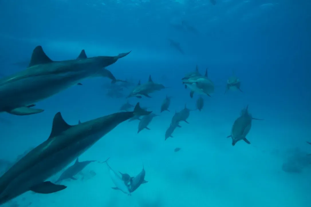 Египет, июль 2025