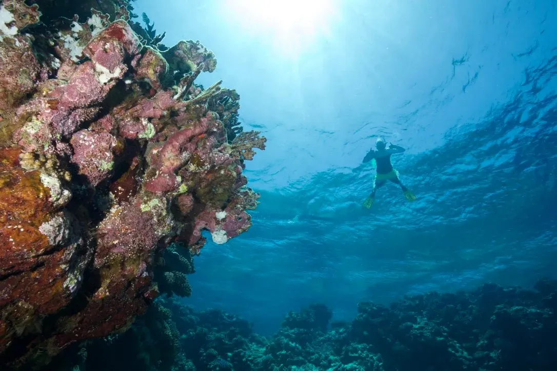 Египет, июль 2025