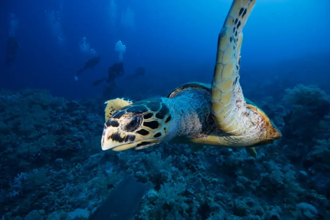 Египет, июль 2025