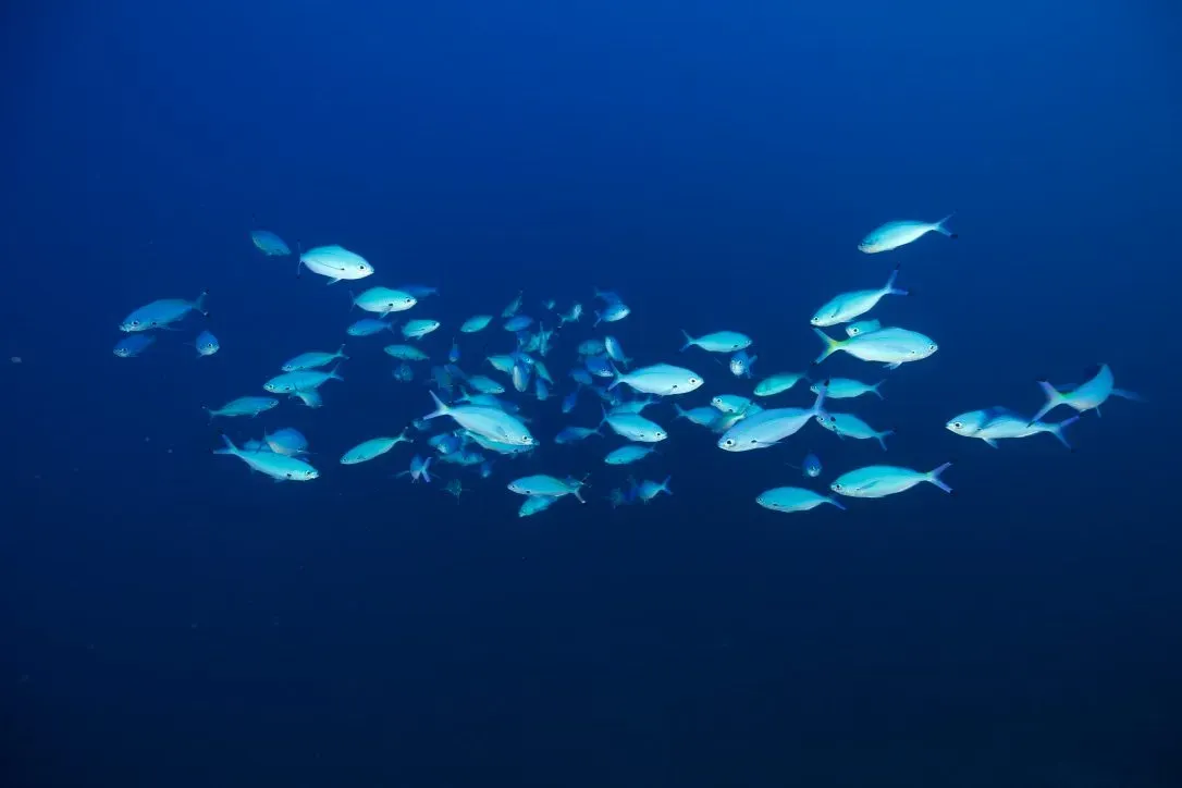 Египет, июль 2025