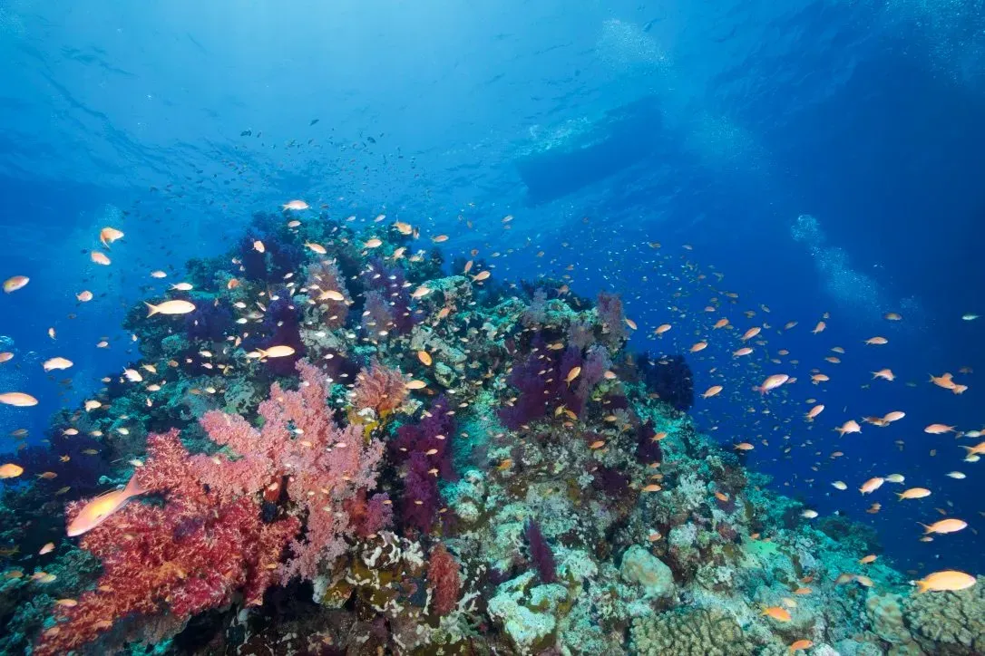 Египет, июль 2025