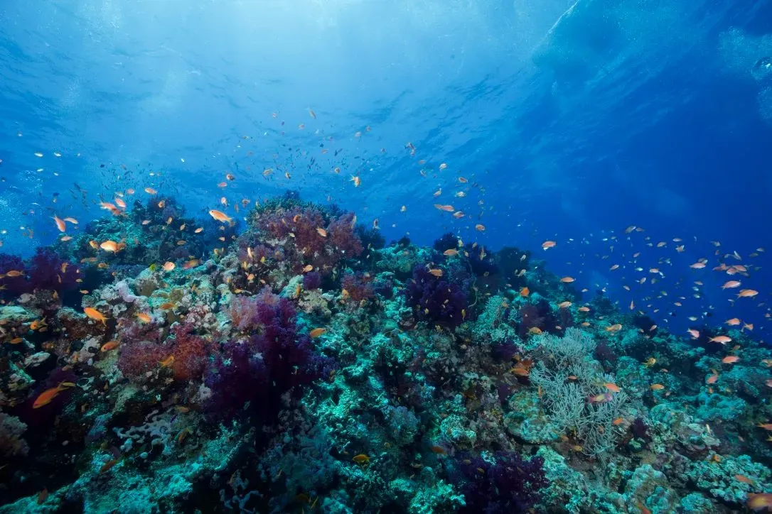 Египет, июль 2025