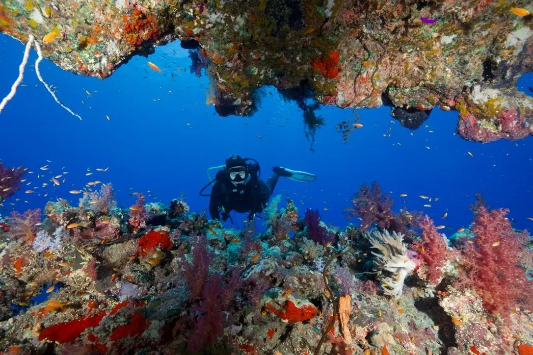 Египет, июль 2025