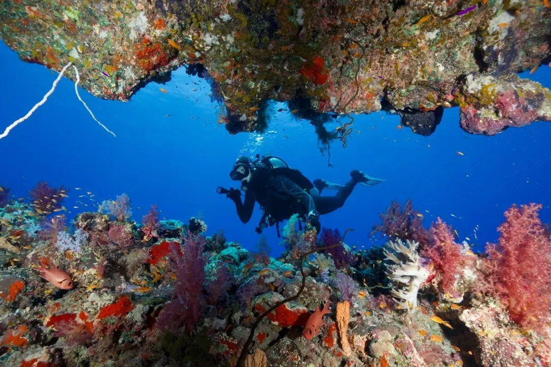 Египет, июль 2025