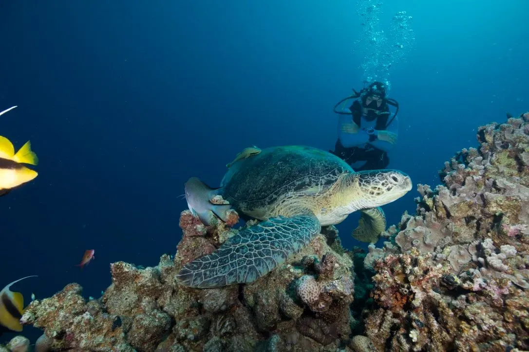 Египет, июль 2025