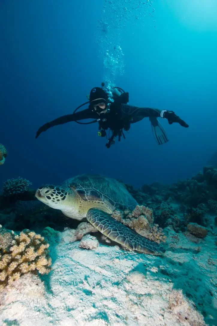 Египет, июль 2025