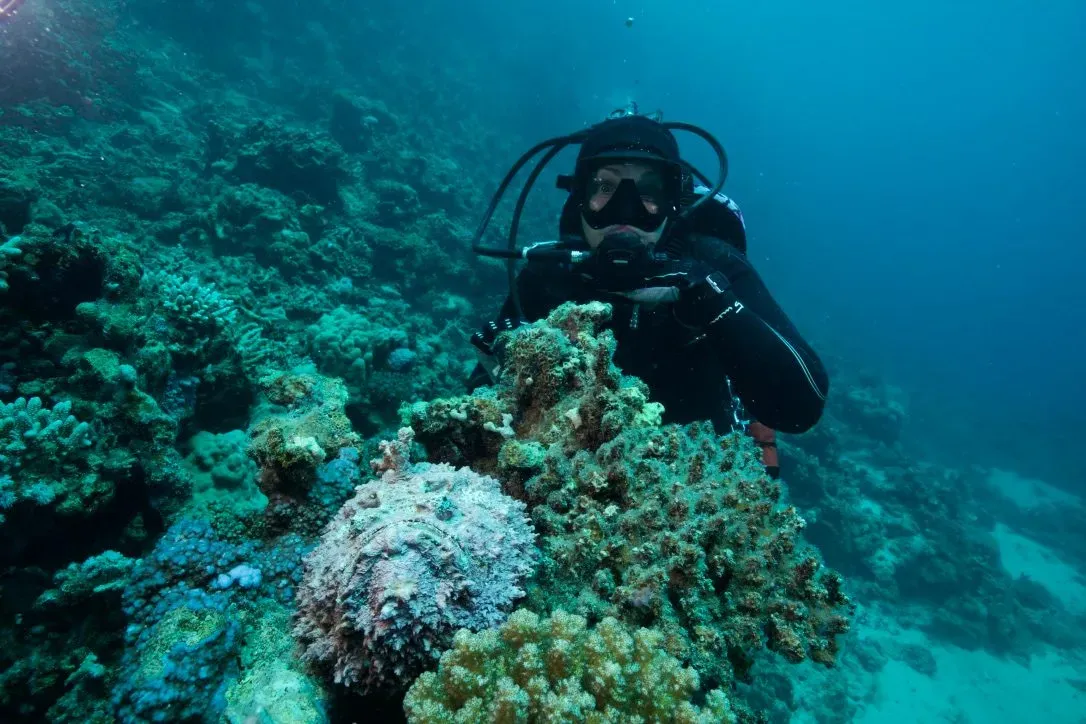 Египет, июль 2025