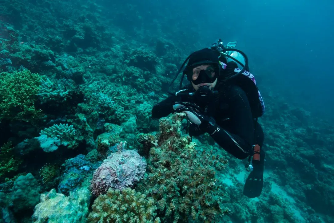 Египет, июль 2025