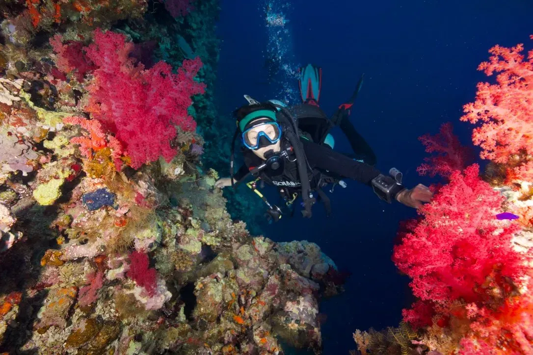 Египет, июль 2025