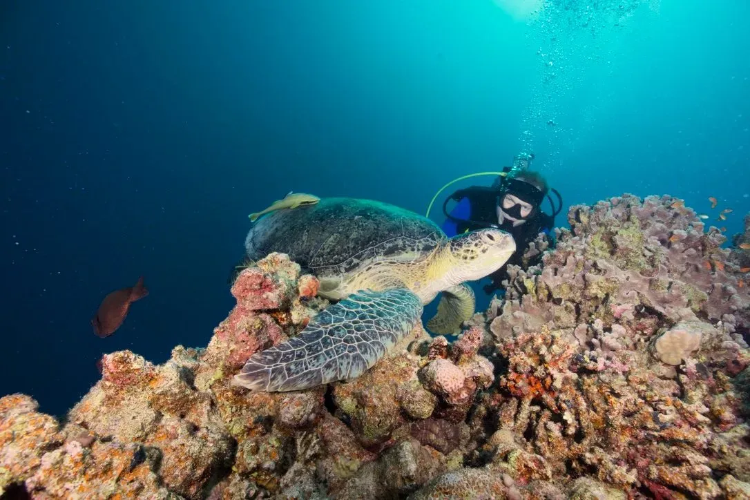 Египет, июль 2025