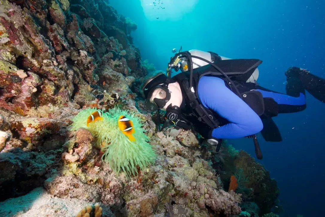 Египет, июль 2025