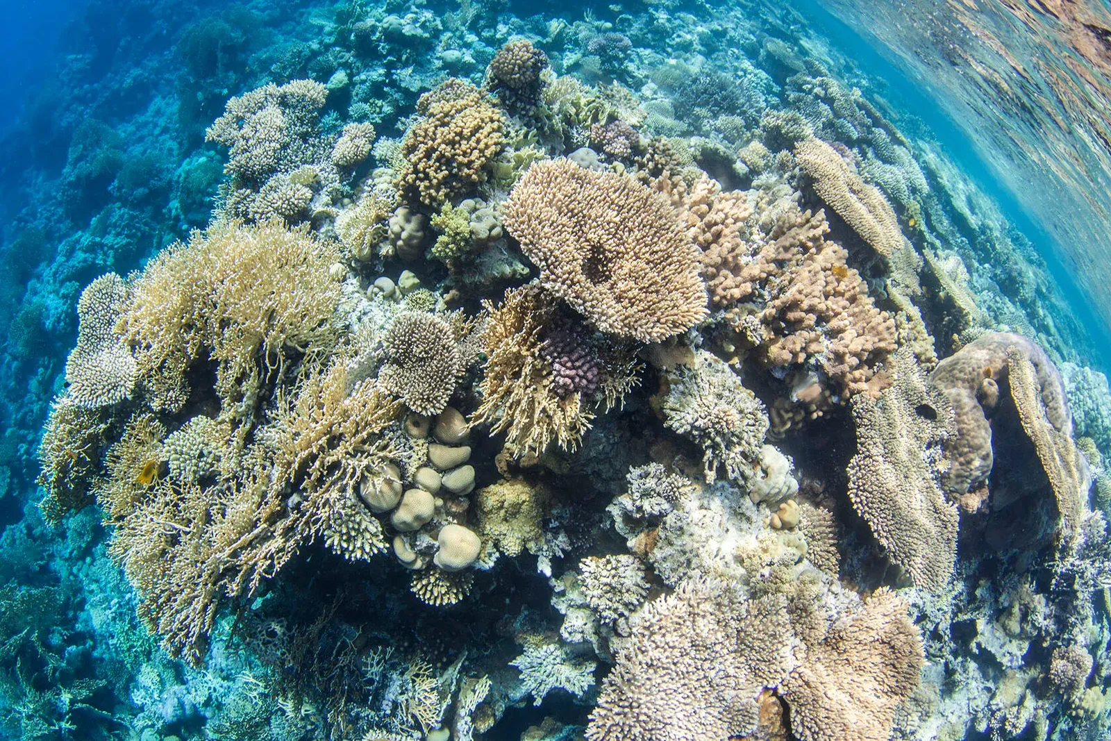 Египет, июнь 2021