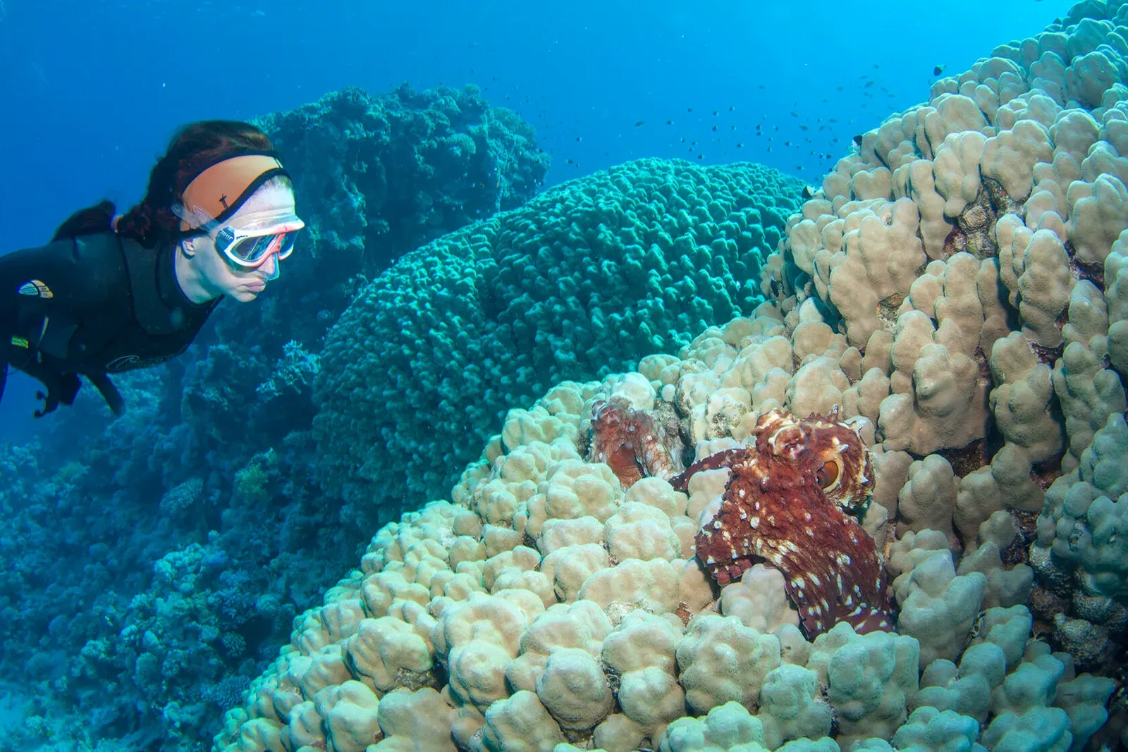 Египет, июнь 2021