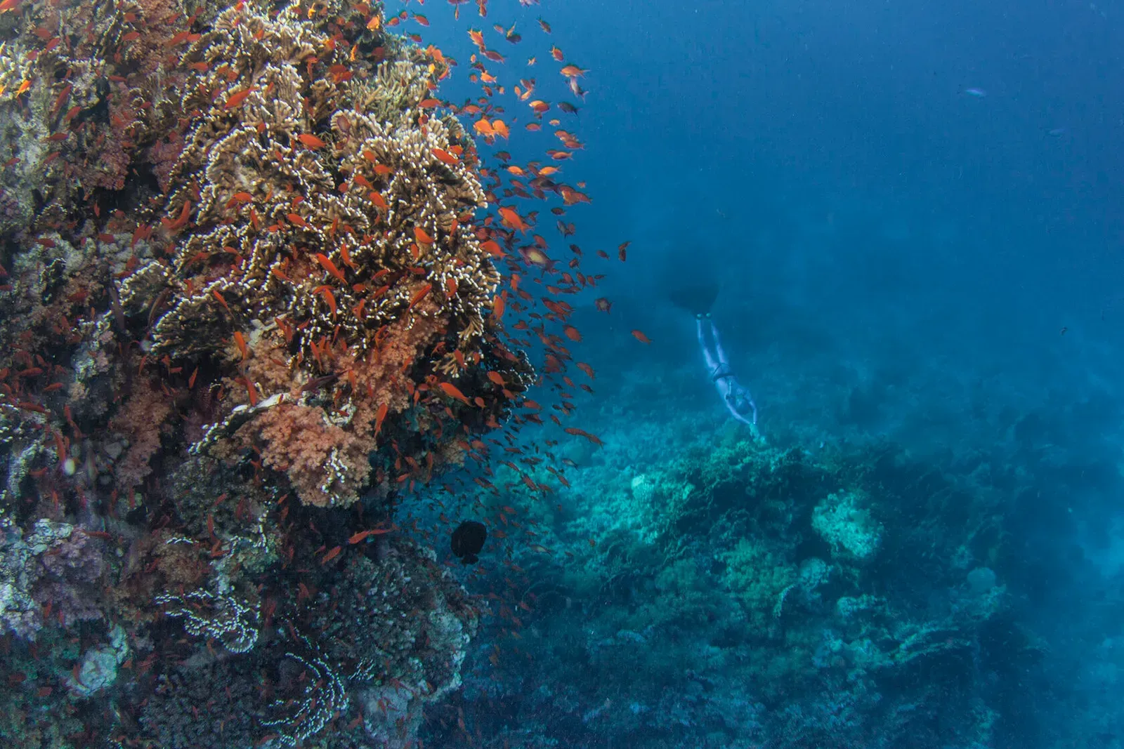 Египет, июнь 2021