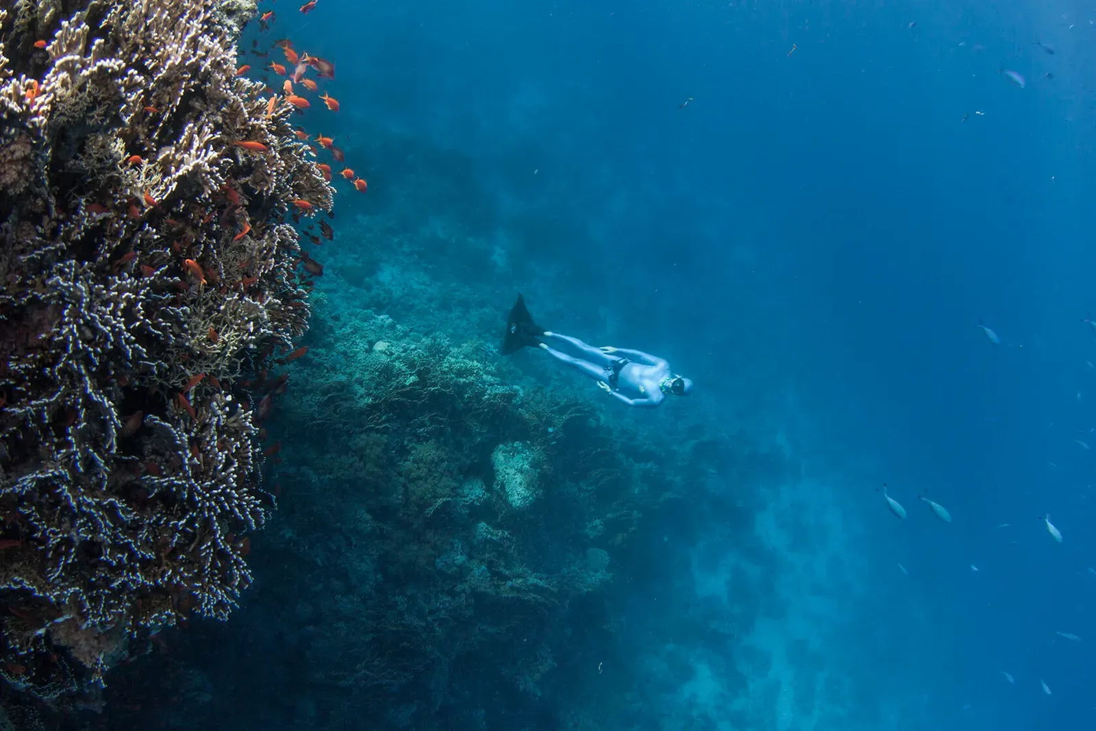 Египет, июнь 2021