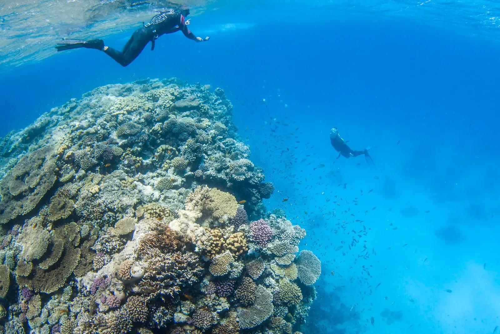 Египет, июнь 2021