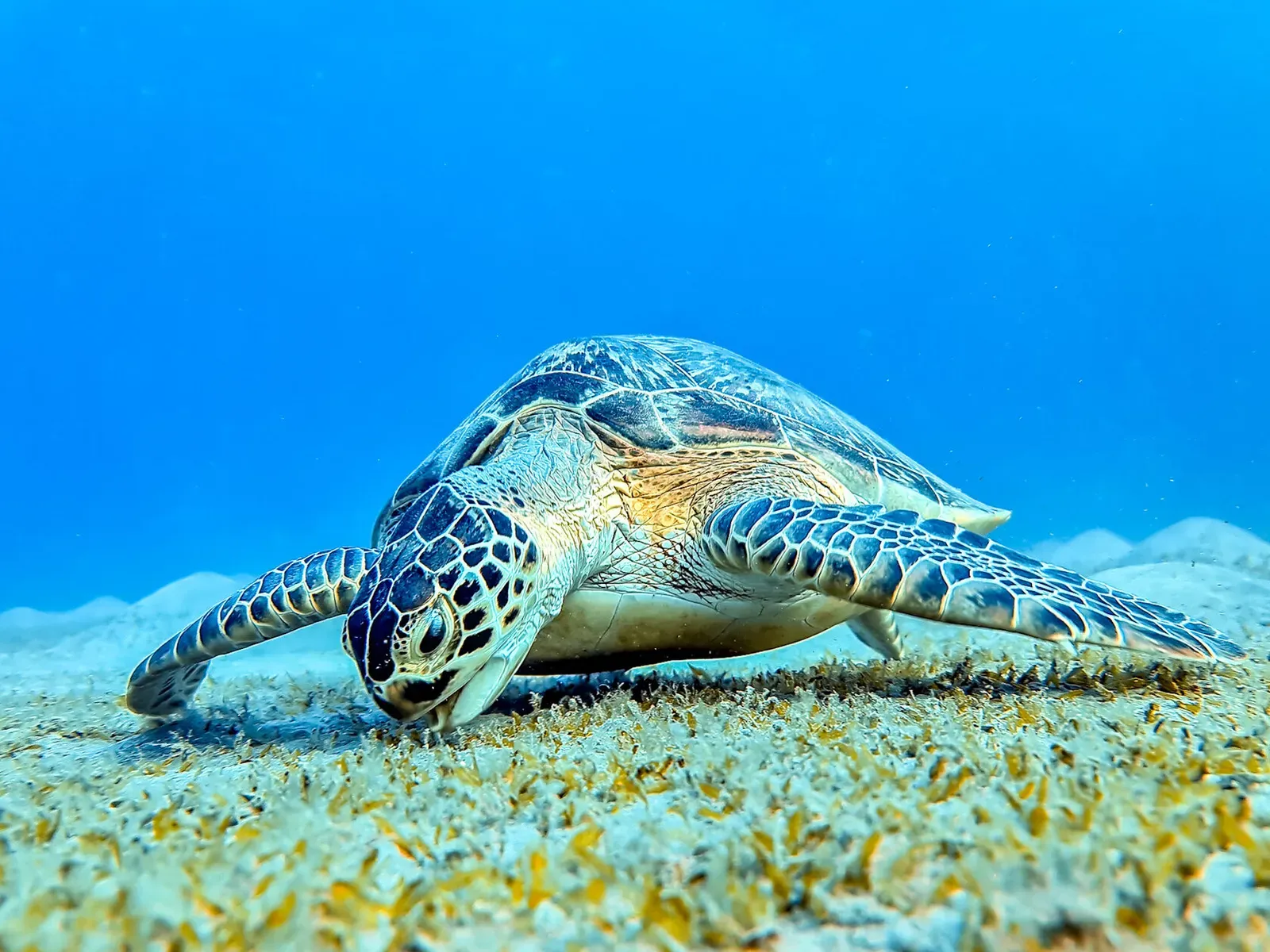 Египет, май 2021