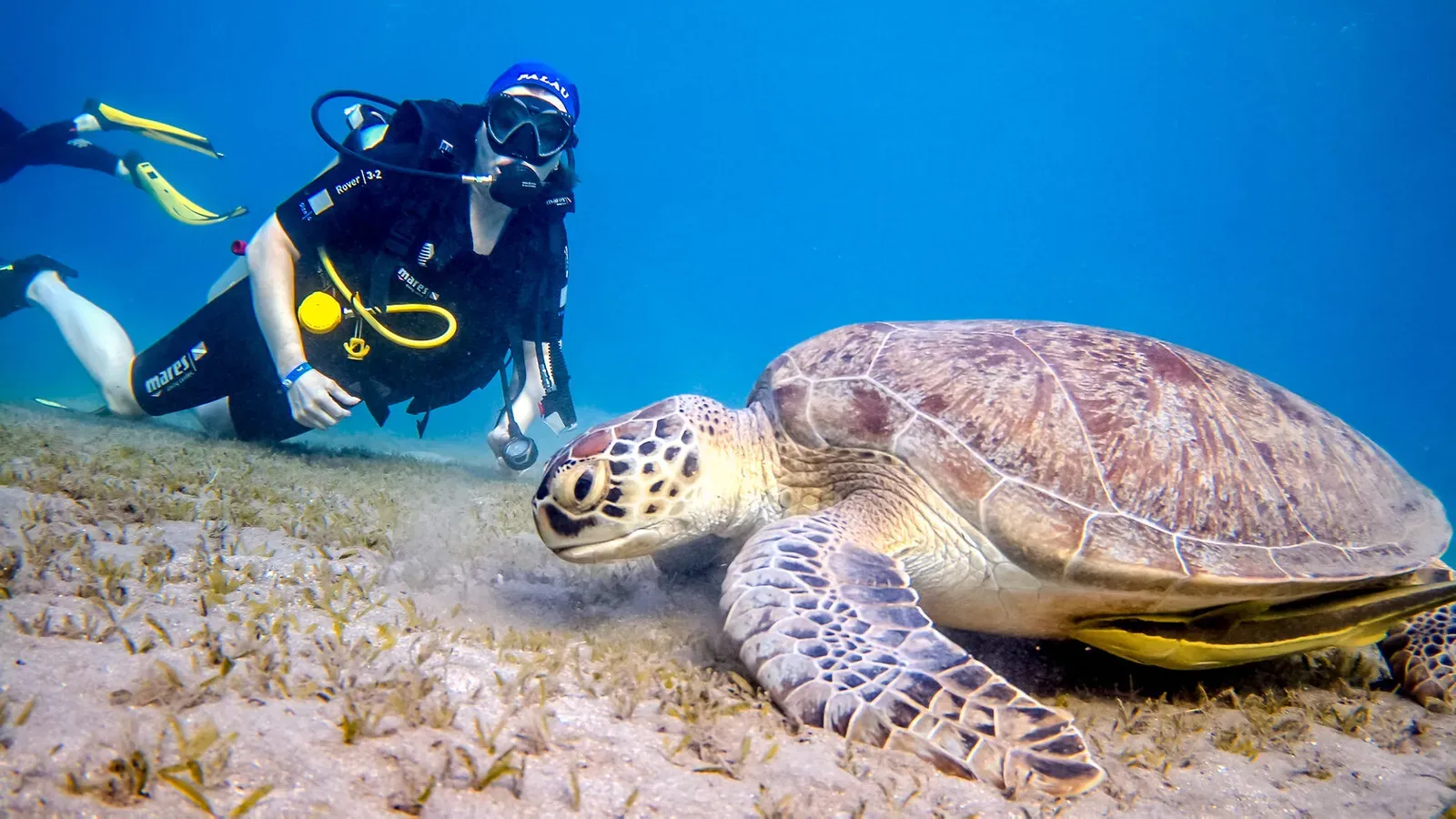 Египет, май 2021