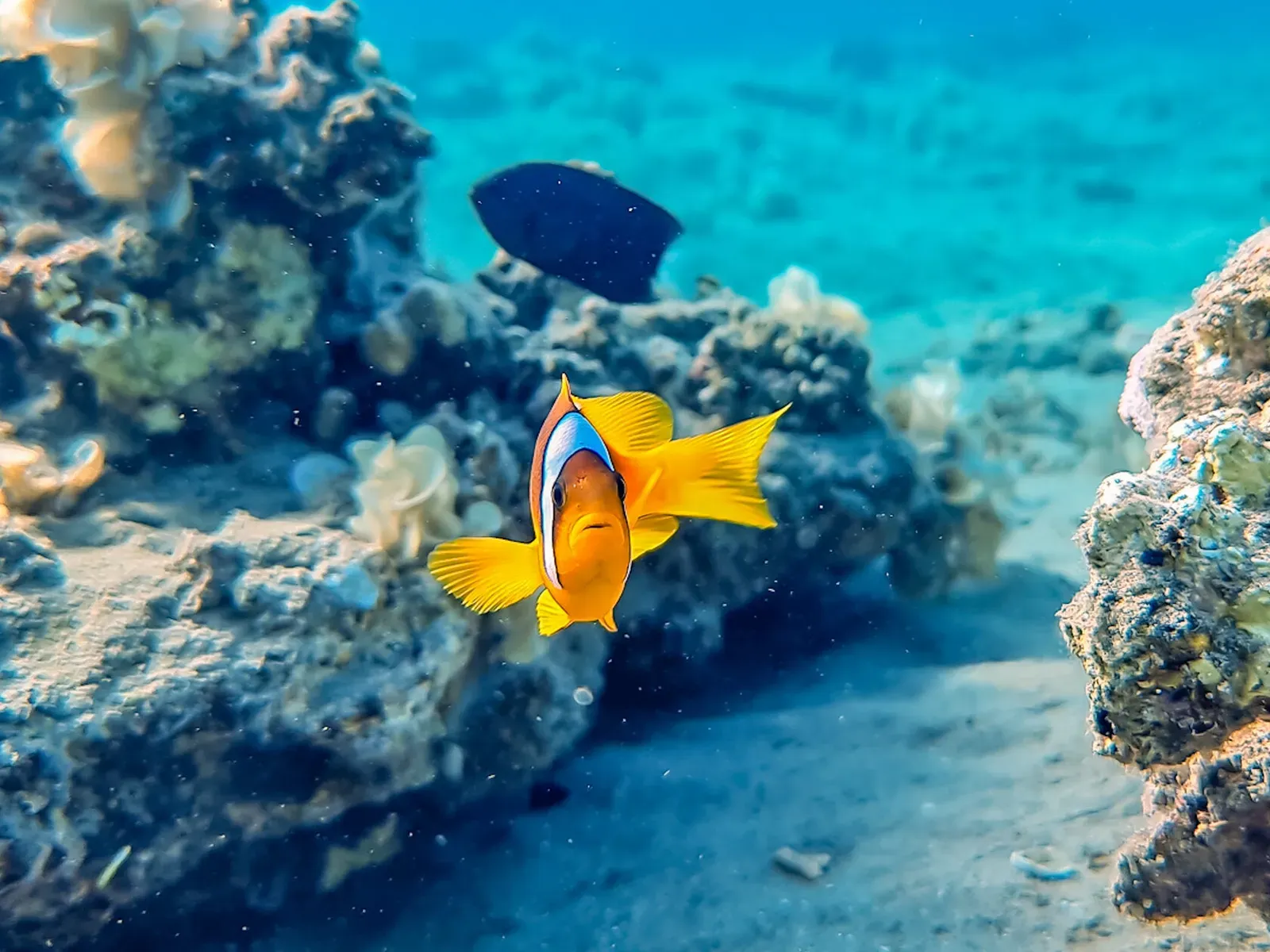 Египет, май 2021