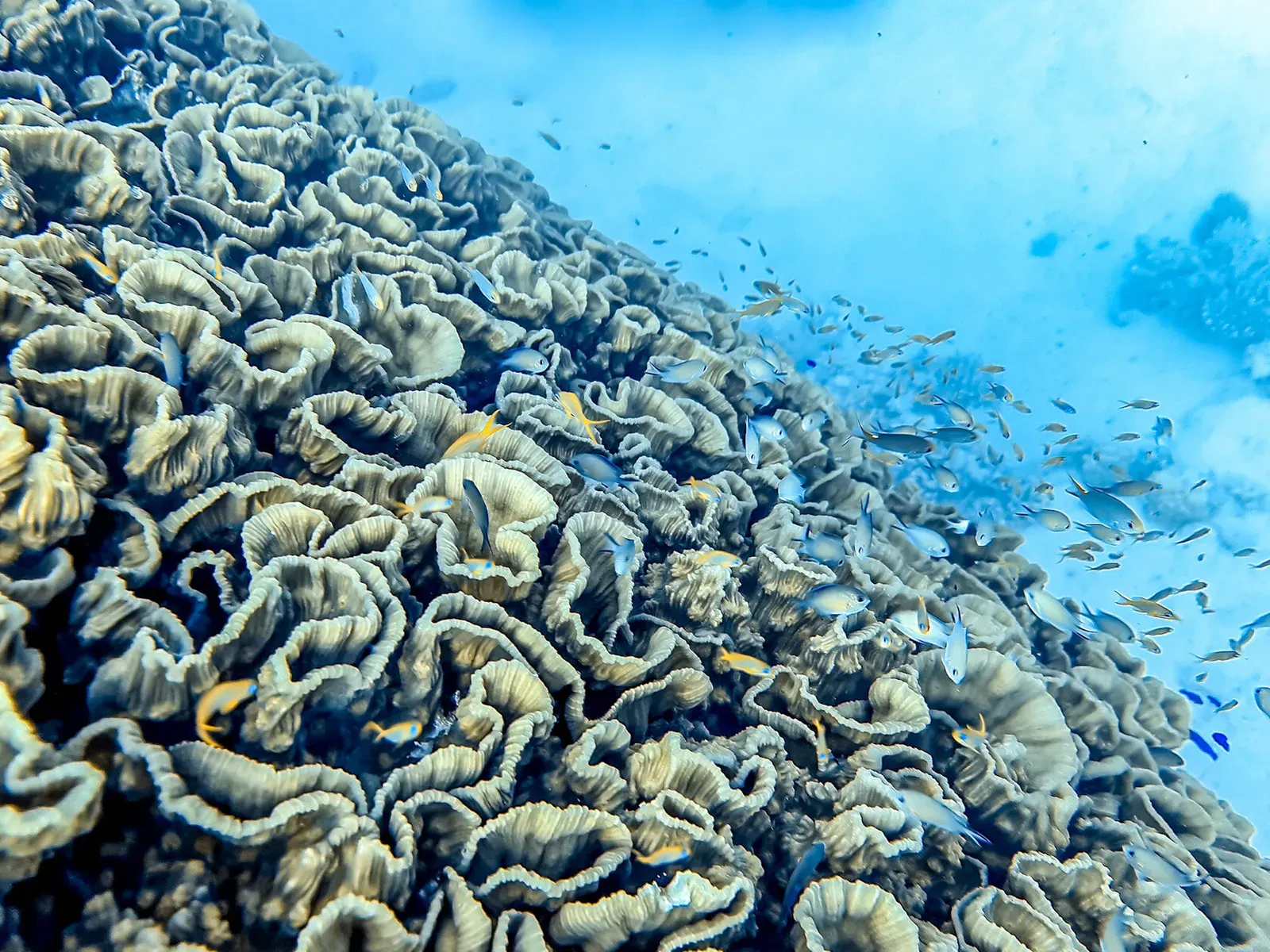 Египет, май 2021